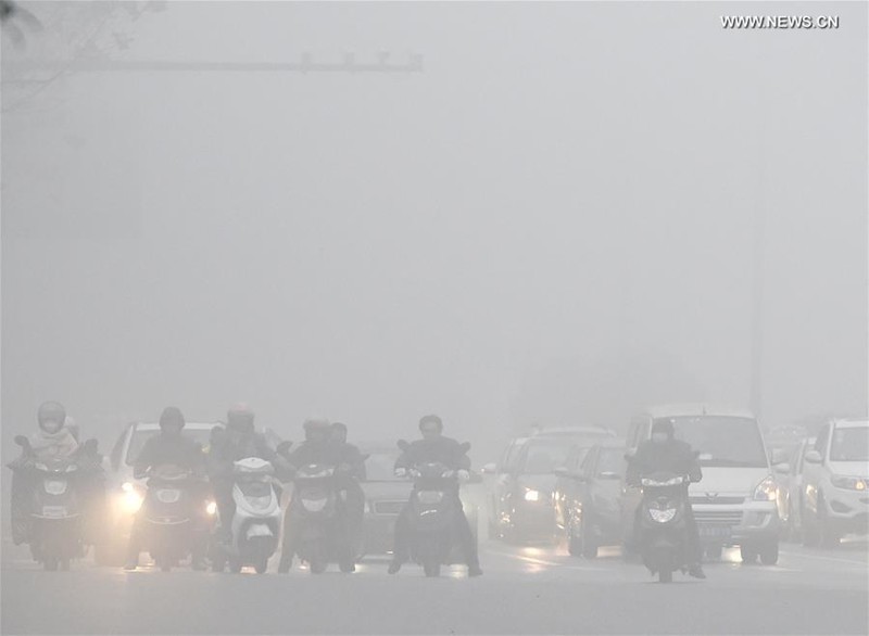 В Китае впервые объявили наивысший уровень опасности из-за смога