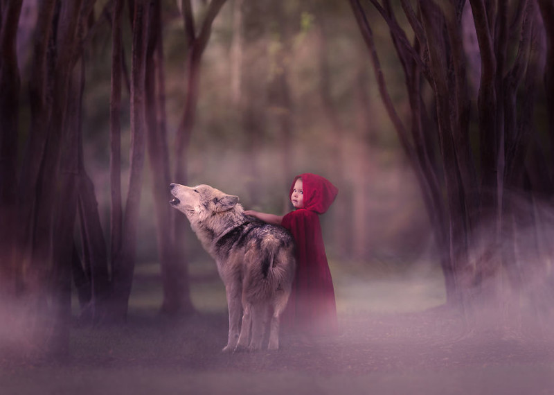 Магия, детские сны и сказочные животные — доброта и волшебство в каждом кадре