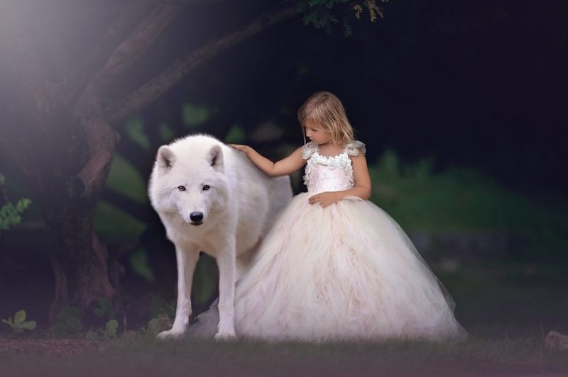 Магия, детские сны и сказочные животные — доброта и волшебство в каждом кадре