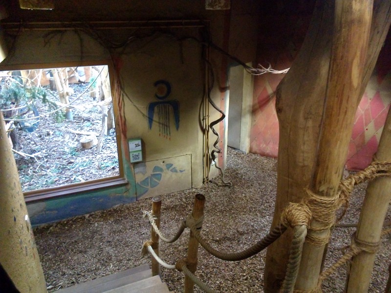 Посещение зоопарка Rostok в зимний период