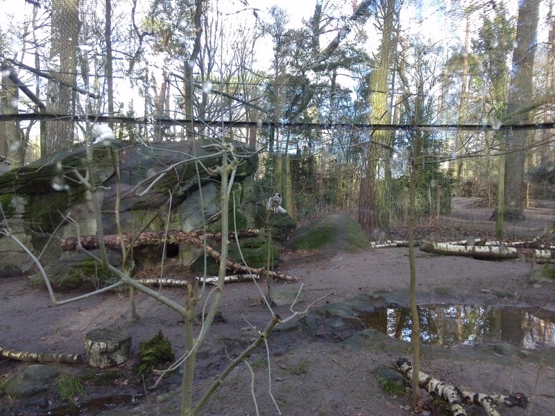 Посещение зоопарка Rostok в зимний период