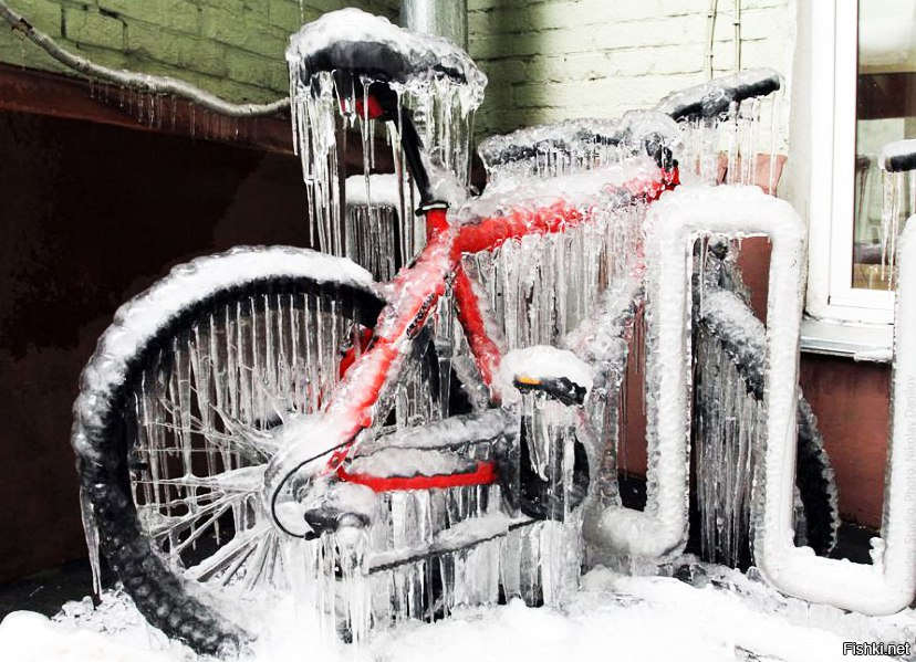 В Москве прошел зимний велопарад, несмотря на сильный холод