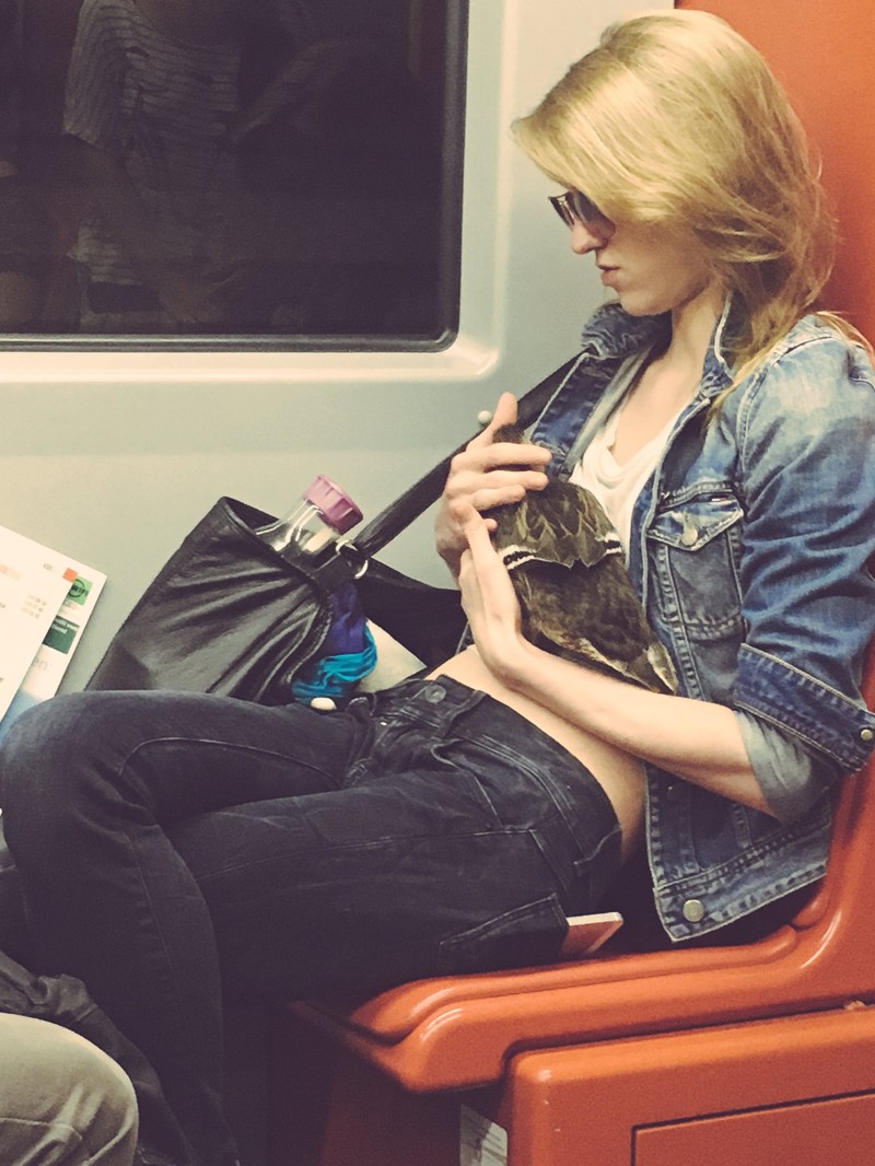 Девушка напротив меня ехала в метро с ручной уткой. Вы все еще думаете, что весело живете?