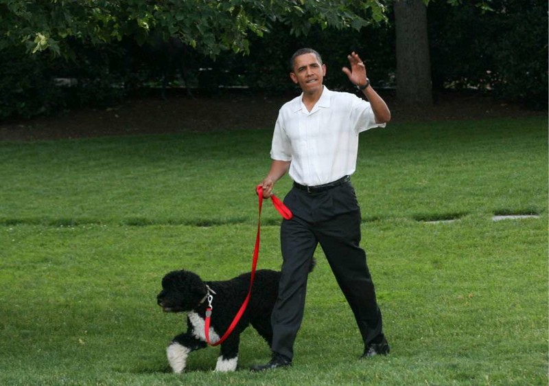 Барак Обама и собака Бо