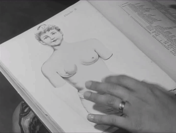 Пособие по анатомии человека