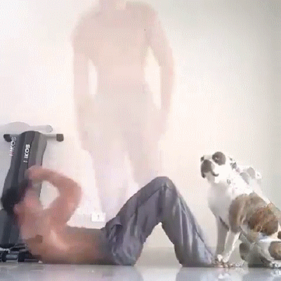 Лучший помощник