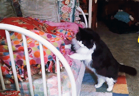 "Я тебя нашел"