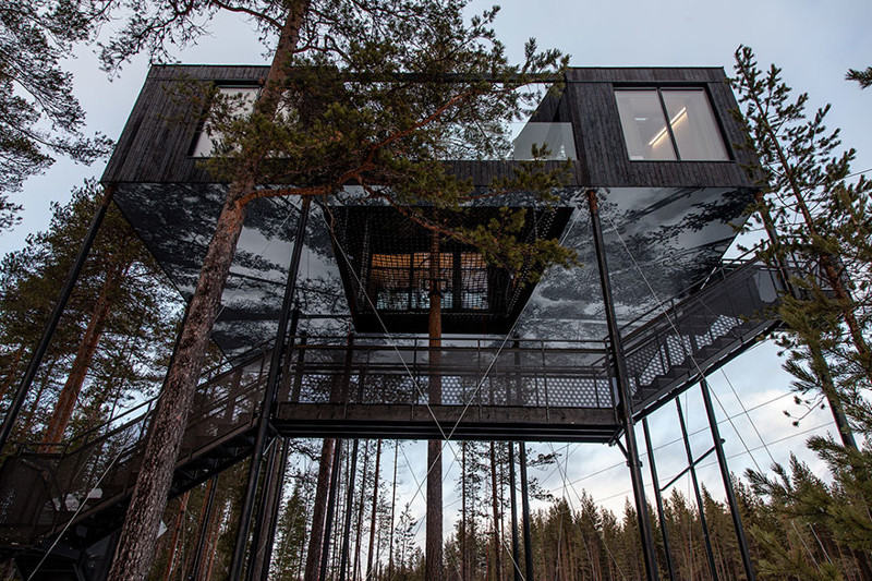 Удивительный отель на дереве в диком лапландском лесу