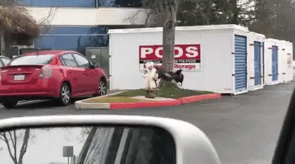 Замкнутый круг