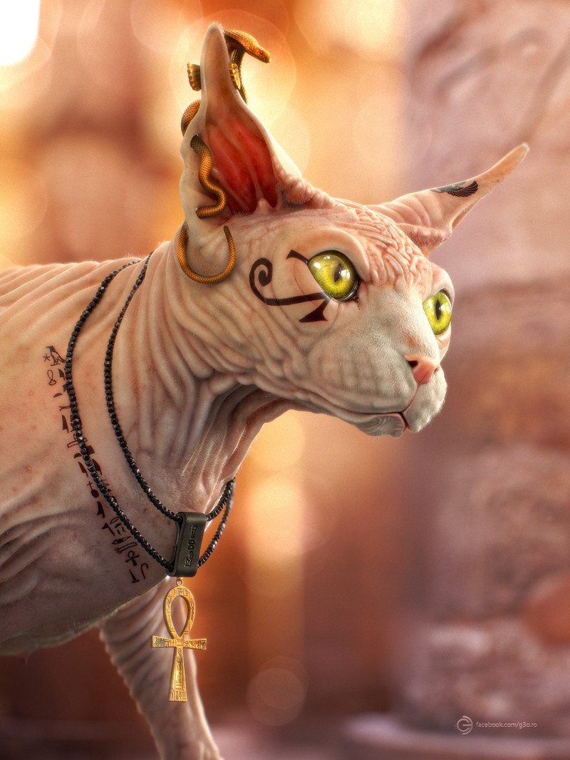 Египетская кошка сфинкс