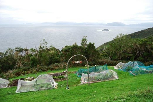 На остров в Тасмании требуется пара, чтобы жить там бесплатно 6 месяцев