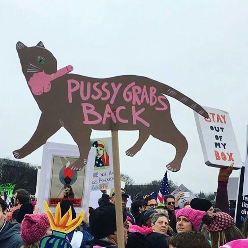 Женский марш в США: Страшные бабы VS Дональд Трамп