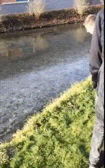 Гифки дня Гифки дня