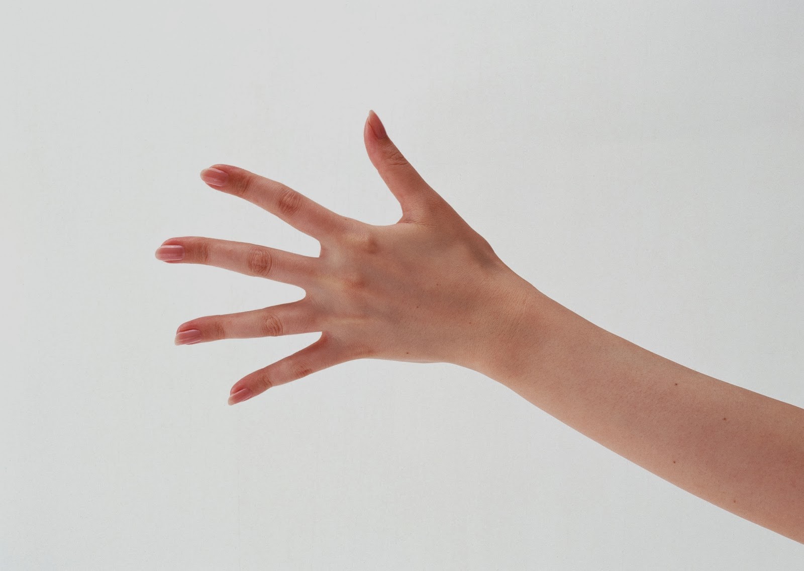 Рука сверху и снизу. Кисть руки. Рука на прозрачном фоне. Женская рука. Рука человека.
