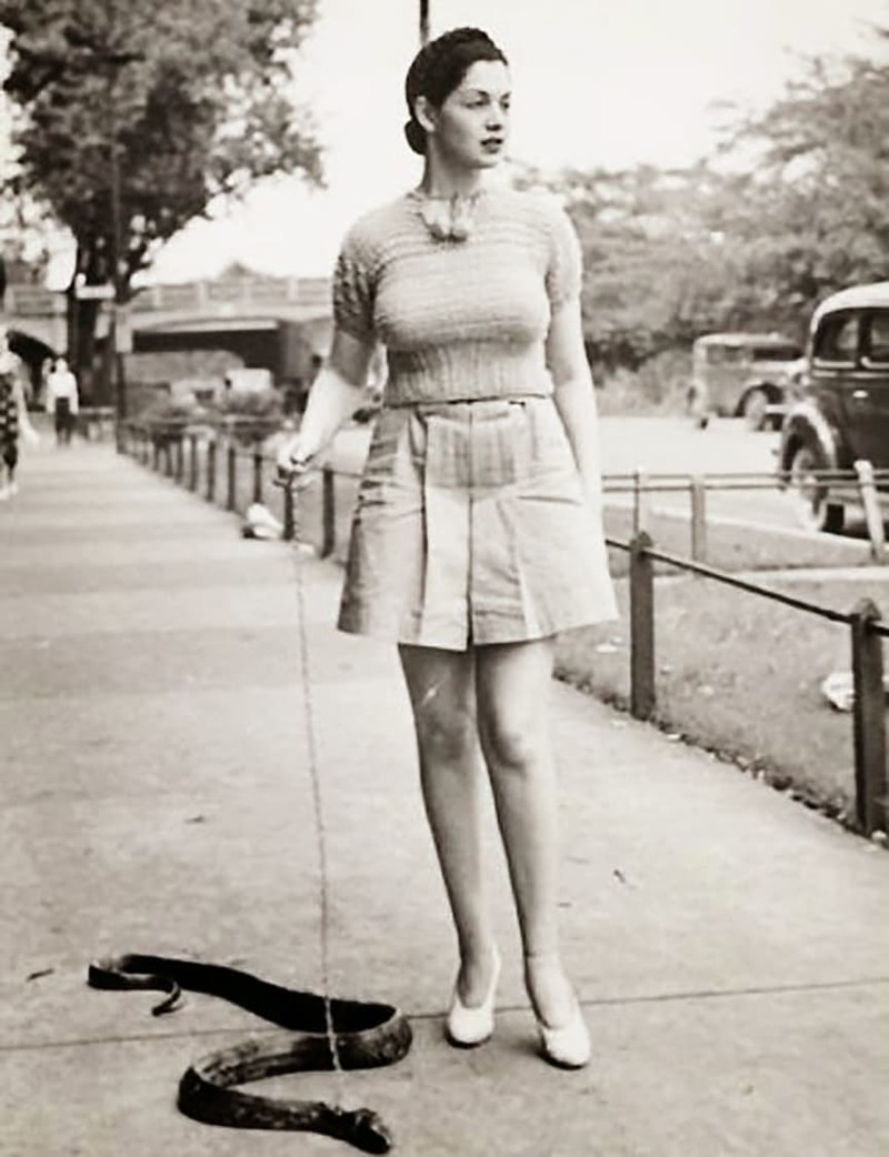 Дама на прогулке со змеей - 11 винтажных фотографий, доказывающих, что чело...