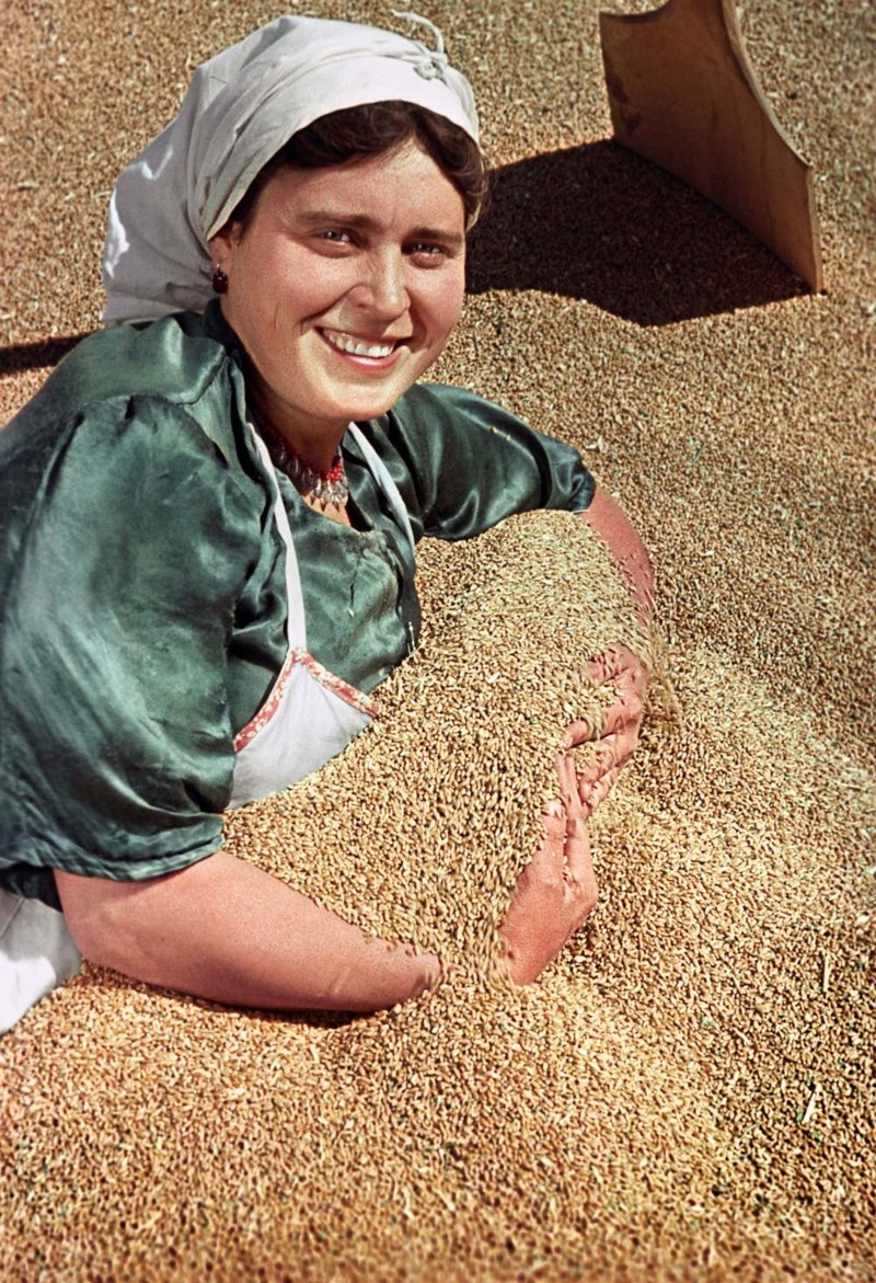 Колхозница Анастасия Николаевна Прилепина с зерном нового урожая. Фотограф Яков Рюмкин, 1951 год: