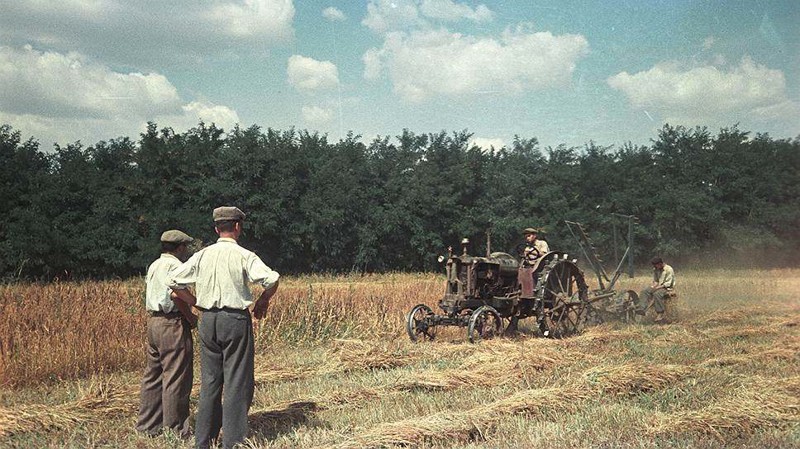 Древний трактор из архива "Огонька"  безымянный снимок, сделанный где-то в СССР в 1950-е гг.: