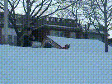 Собака - мастер по угону санок: