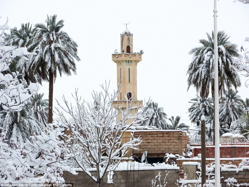 Мечеть и пальмы в снегу