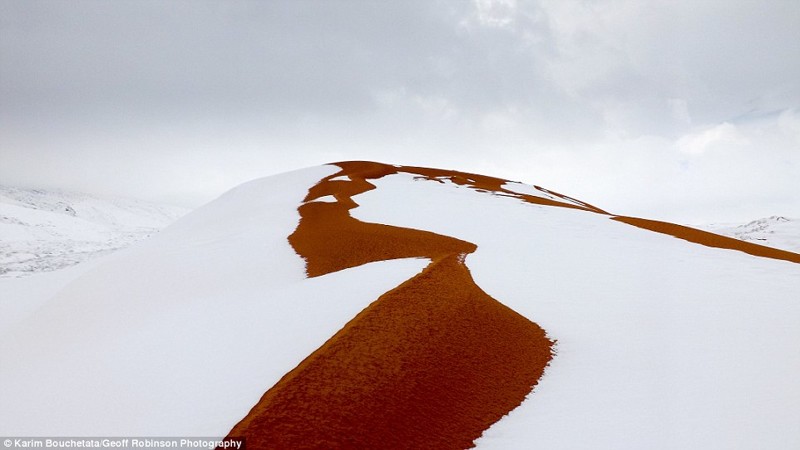 Песок Сахары и ослепительная белизна снега