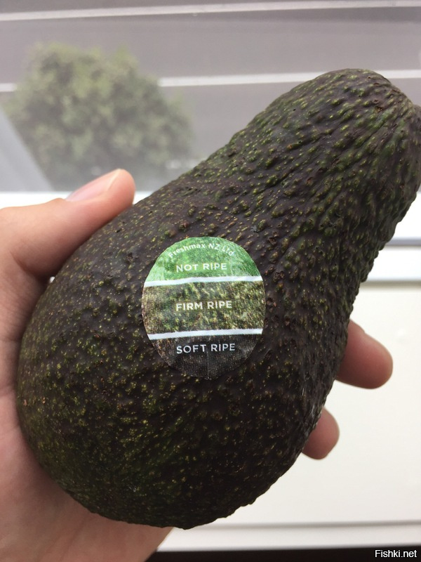 Стикер определения зрелости авокадо