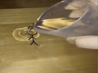 Реакция маркера для сухого стирания на воду Реакция маркера для сухого стирания на воду