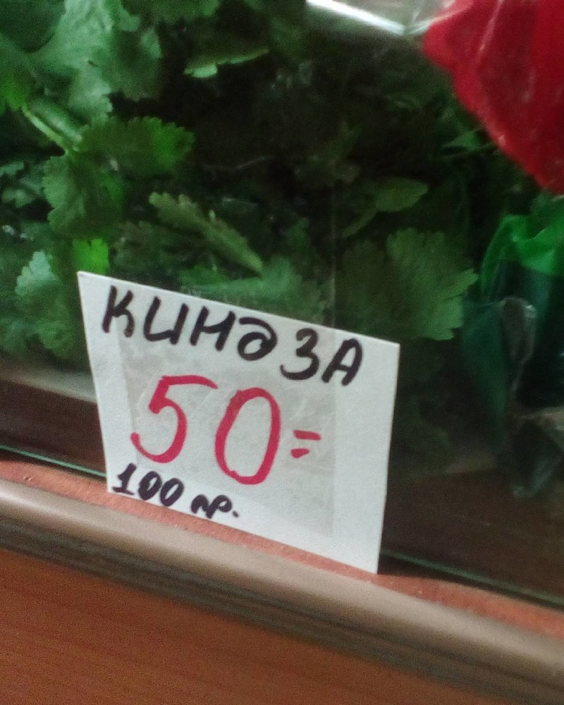 В современные магазины лучше не ходить людям, которые с уважением относятся к русскому языку 