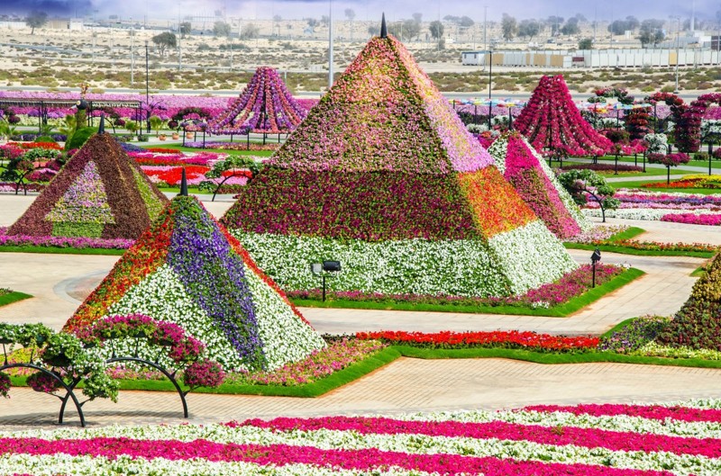 Сад чудес или Dubai Miracle Garden