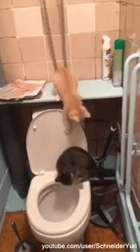 Он не нарочно