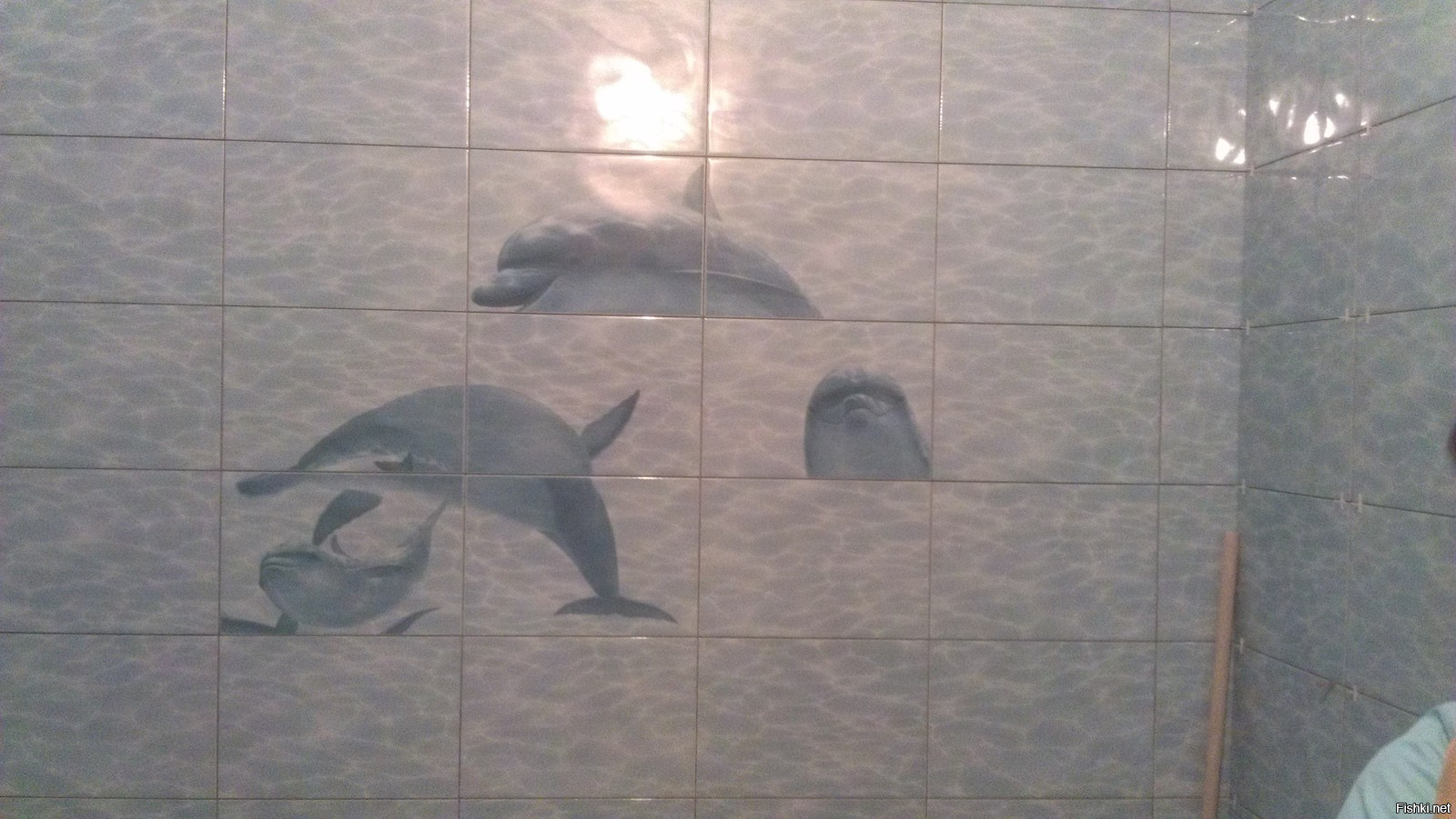 Когда не знаешь, как выглядят дельфины
