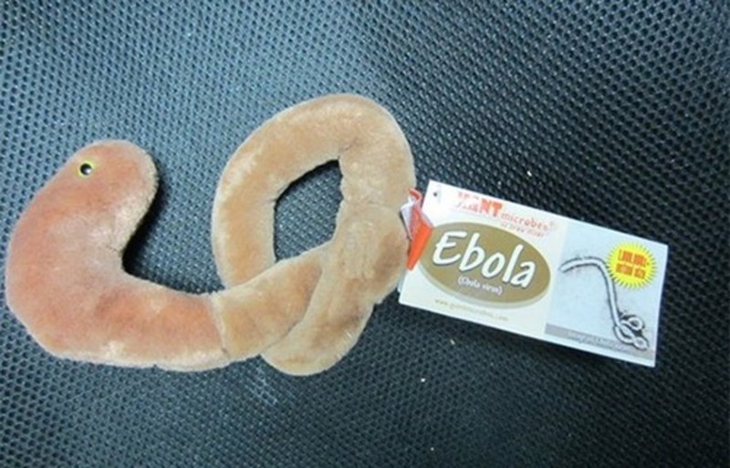 Это Эбола. Игрушка Эбола. Ничего необычного. 