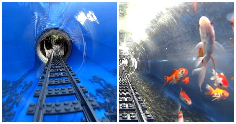 Удивительная железная дорога из Лего, проложенная через аквариум с рыбками