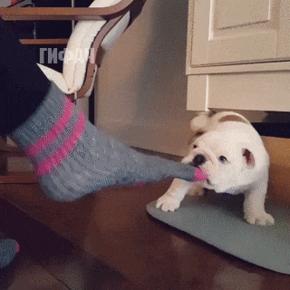 Теперь можно и поспать