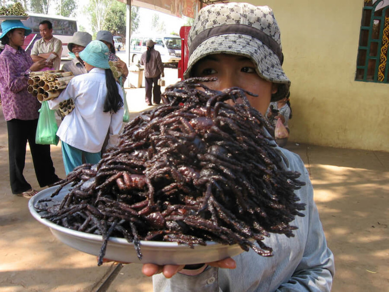 Жареные тарантулы - Камбоджа