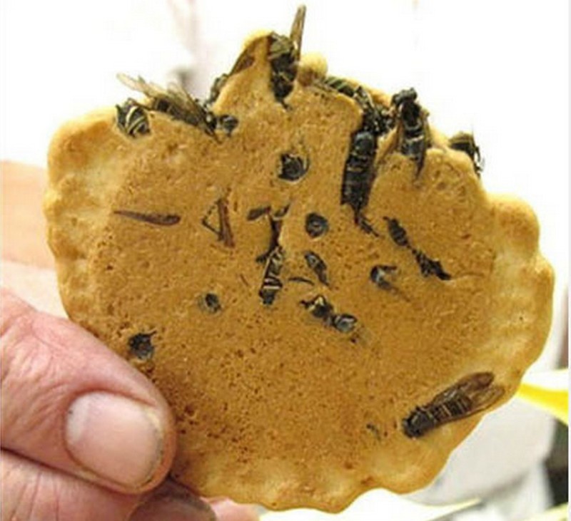 Печенье с осами - Япония