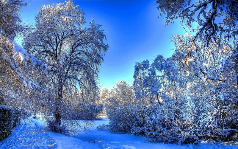Природа России: красавица зима