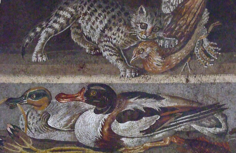 Любители кошек наверняка зададутся вопросом, а как же кошки? В Помпеях и Герклануме были найдены многочисленные изображения и статуэтки кошек, как, например, эта мозаика: