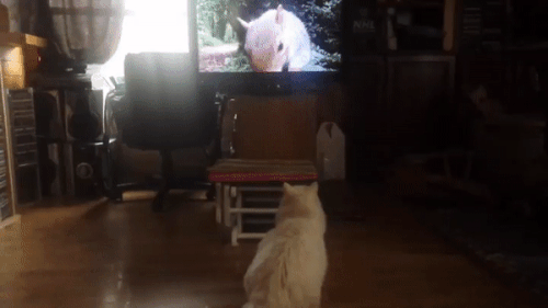 Пугающая реальность