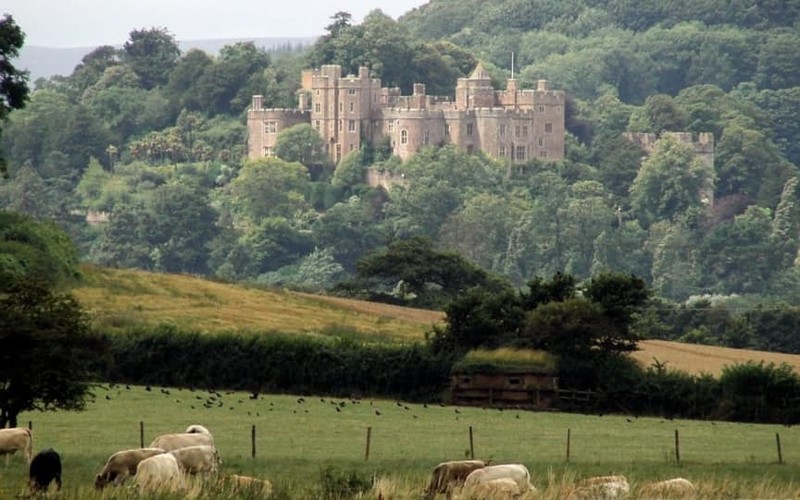 Данстерский замок - Англия