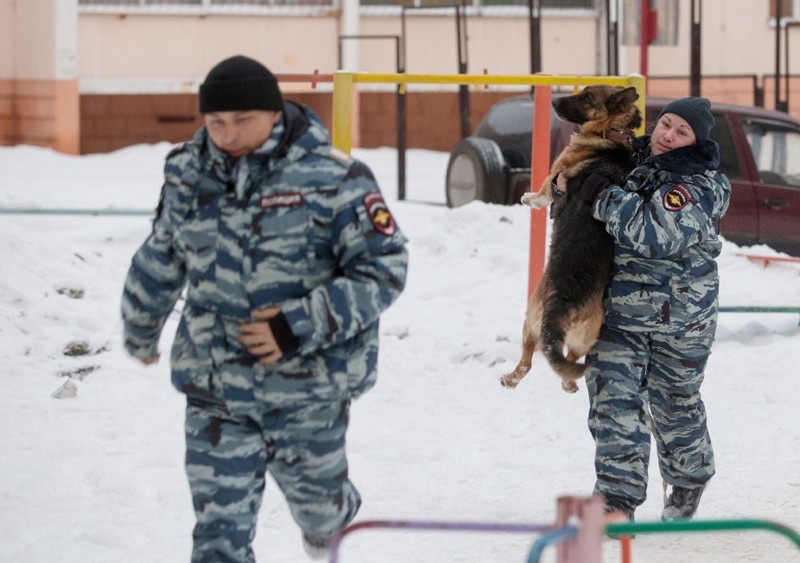 В Челябинске спасли служебную собаку, отравившуюся наркотиками во время обыска притона