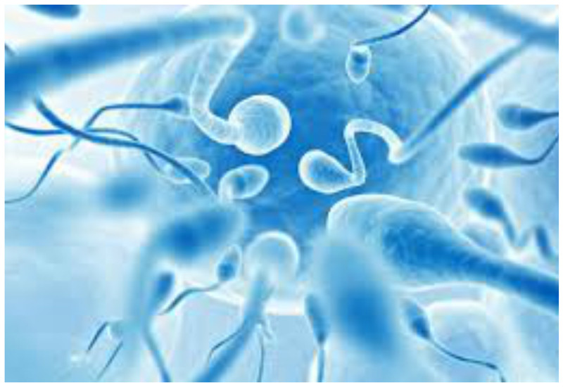 Для ВИЧ-положительных мужчин тоже придуман способ родить здорового ребенка - очищение спермы.