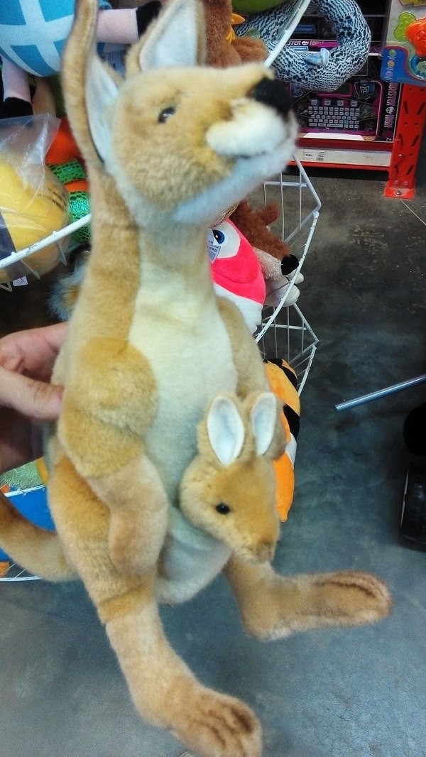 На снимке, на первый взгляд, милая мягкая игрушка 