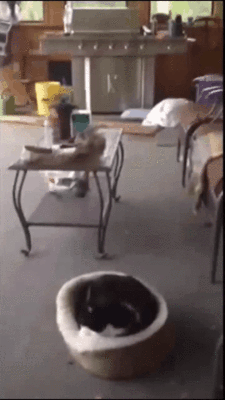 Только удобно устроился