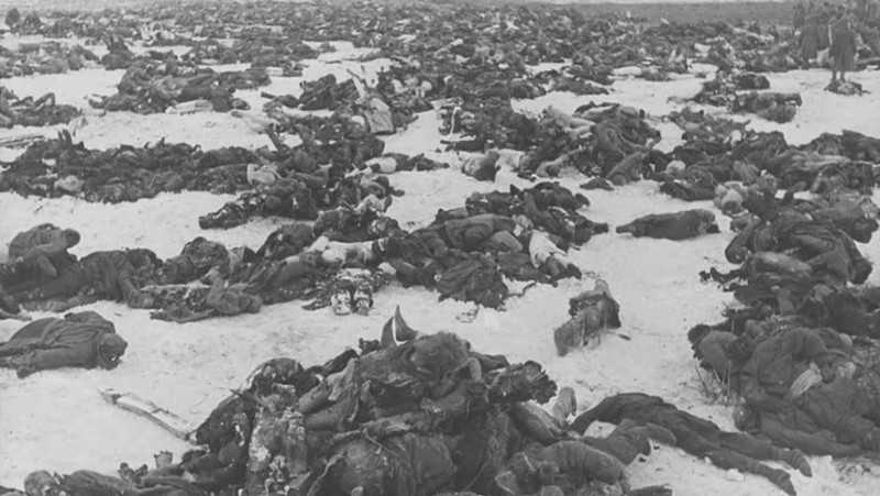 Окончательный разгром окруженных немецко-фашистских армий в районе Сталинграда осуществили войска Донского фронта.