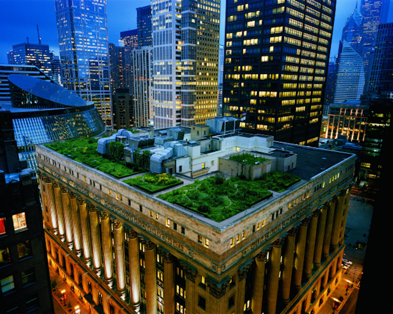Diane Cook "Зеленая крыша чикагского сити-холла" (2009)