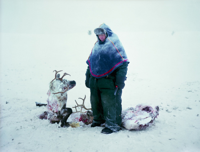 Erika Larsen  "Саам у останков оленей, намертво сцепившихся рогами в драке"(2011) 