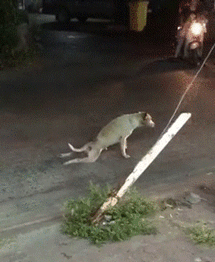 Чудесное исцеление