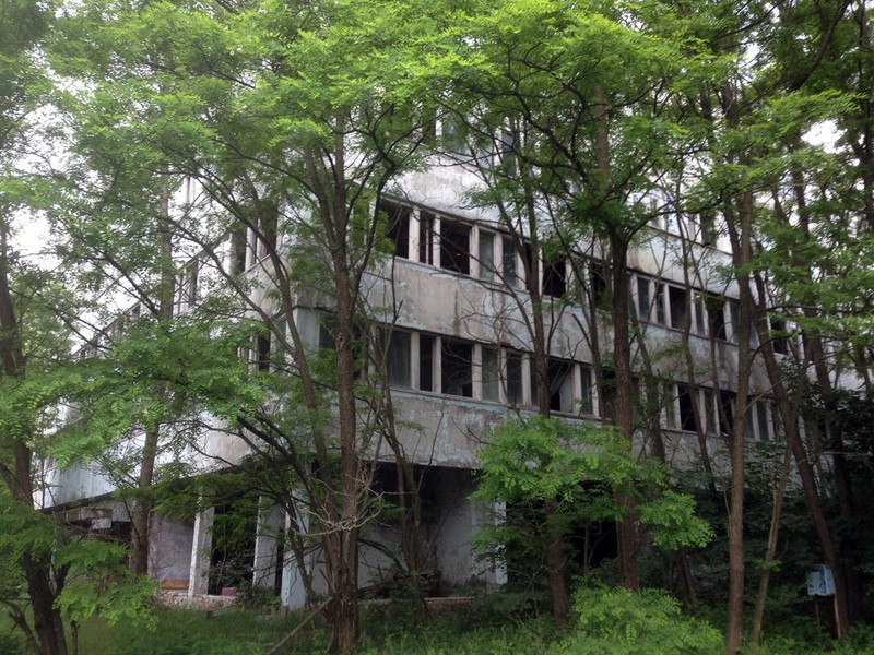 Чернобыльские джунгли. Здание на одной из центральных улиц Припяти 