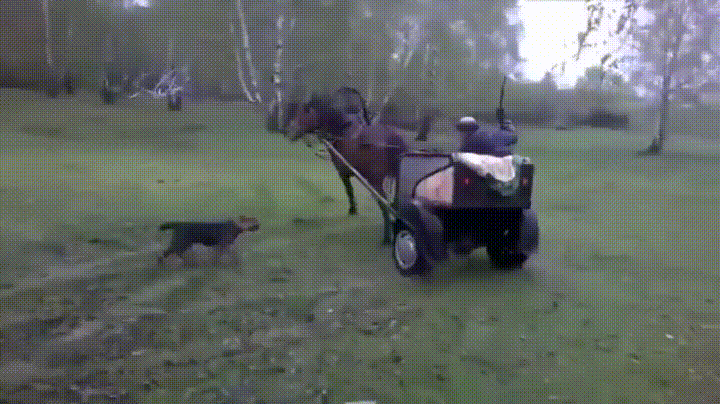 Подборка автомобильных гифок