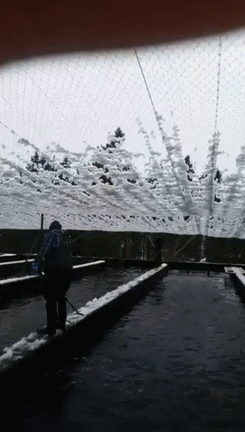 Точный удар